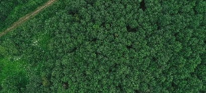 Environment