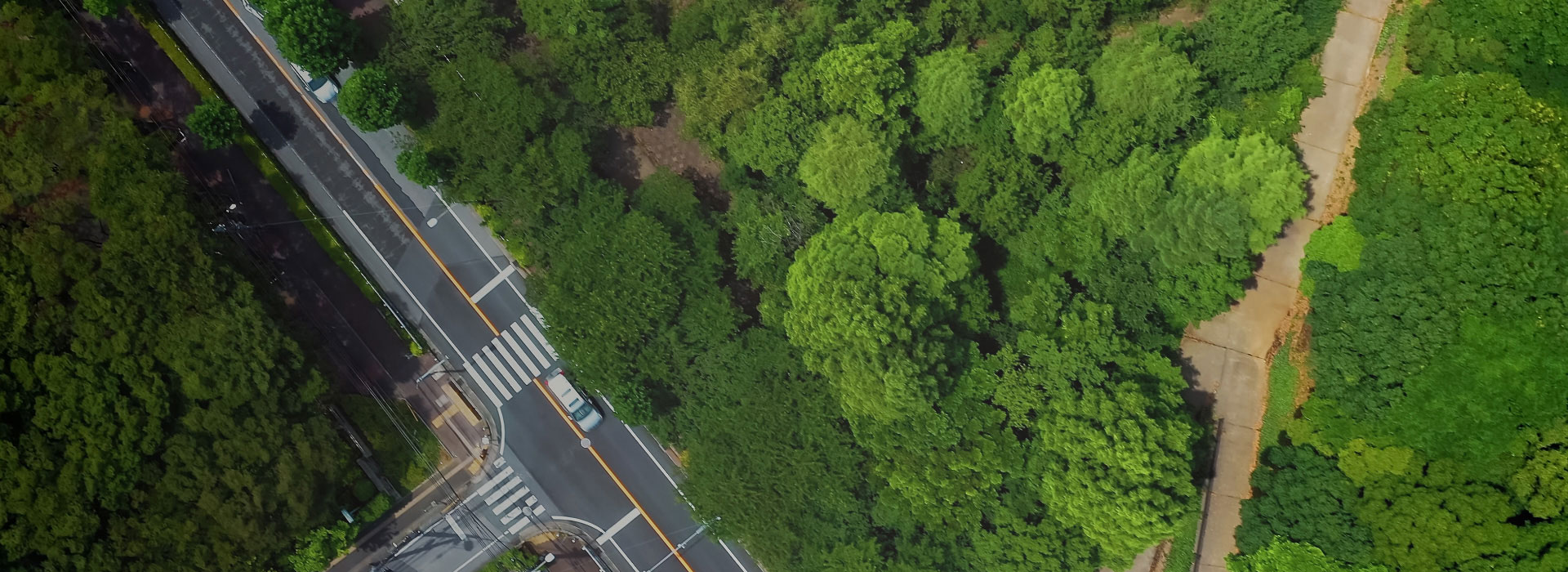 Building a Decarbonized Society