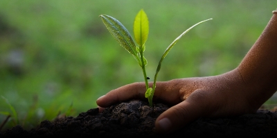 Environmental Activities